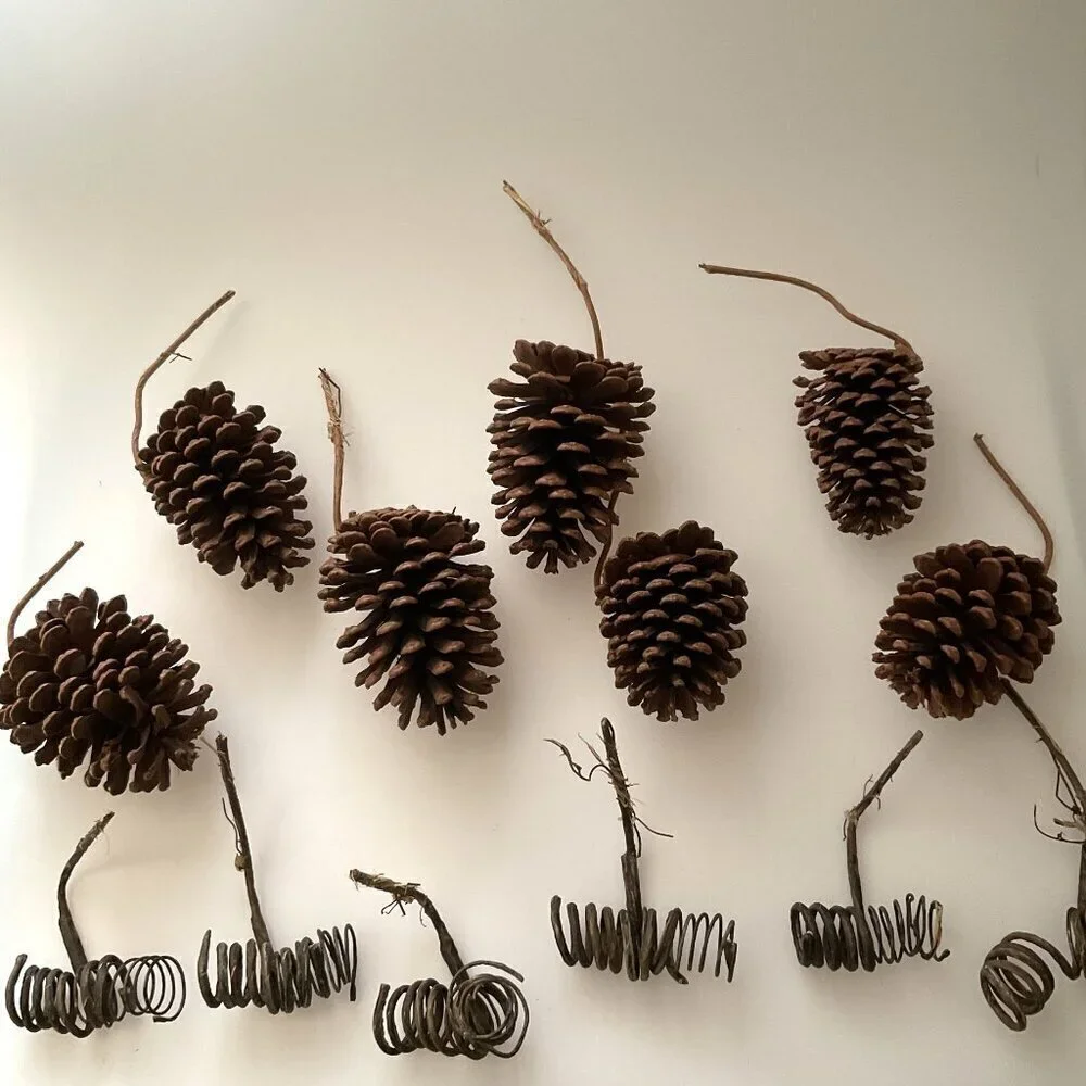 DIY PINE CONES AND CURLY TWIGS 13 COUNT